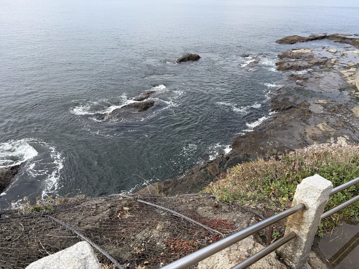 江の島周辺の海岸